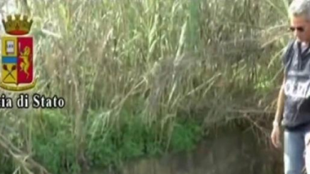 Loris Stival ultime notizie al 28-02-2015