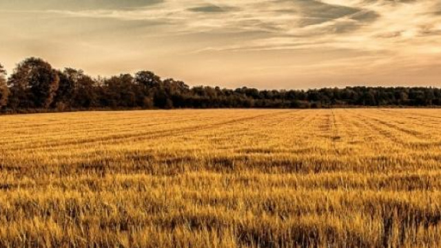 Richiesta rimborso IMU terreni agricoli