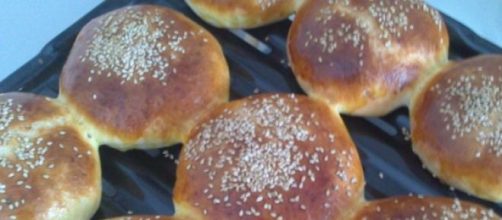 panes           de              hamburguesas 