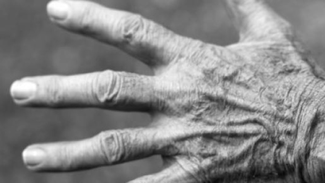 Pensioni 2015, nuova proposta anticipata da IDV