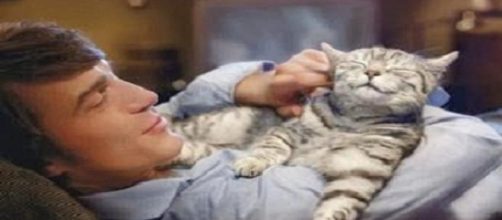 la conexi&oacute;n entre el amo y el felino satisfecho 