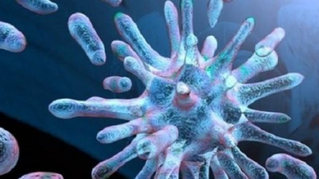 Influenza 2015, sintomi e rimedi naturali 