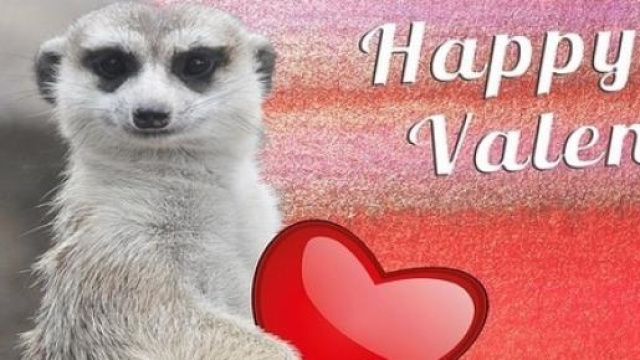 San Valentino 2015: cartoline e frasi romantiche 