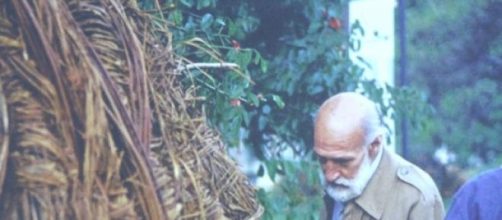 Actividades del grupo Ala Pl&aacute;stica