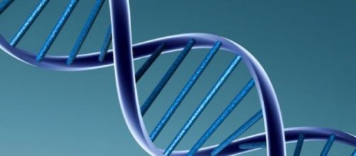 Descubren c&oacute;mo retroceder el tiempo de las c&eacute;lulas