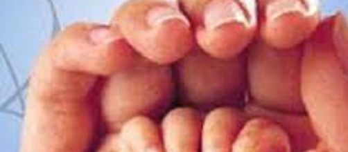 Disfruta el camino, que llegar&aacute;