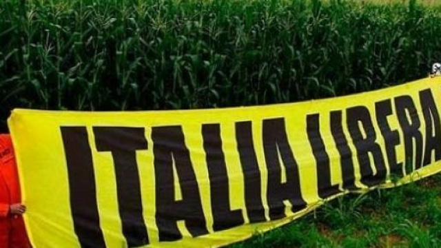 Il Consiglio di Stato conferma: "Ogm vietati"