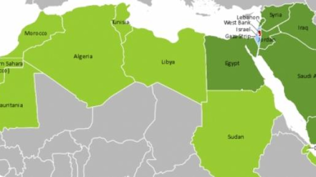 Zona MENA: la lingua araba nel mondo