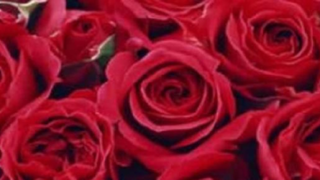 Idee regalo per lei, San Valentino.