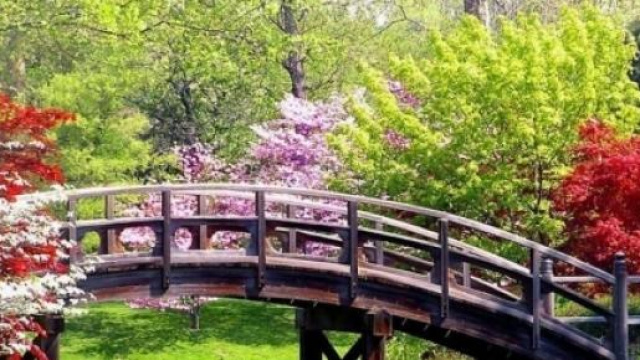 Previsioni meteo febbraio-marzo, inverno-primavera