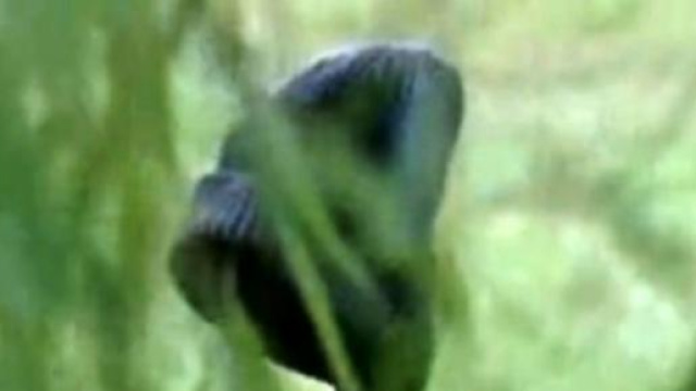 Un altro personaggio dice addio a The Walking Dead