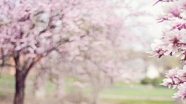  Spossatezza primaverile e cambio di stagione 