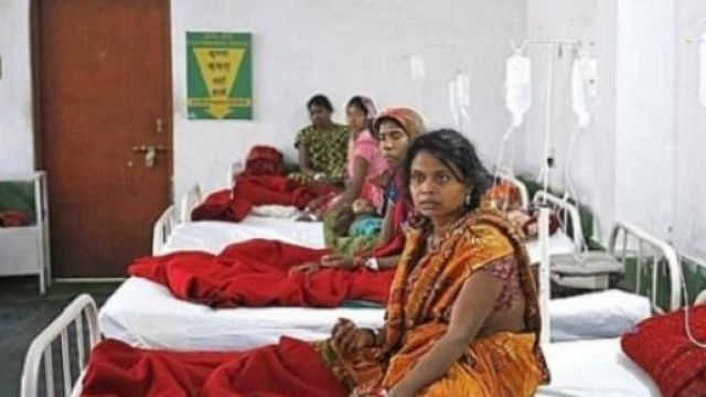 En inde, la st&eacute;rilisation de masse a la cote ...