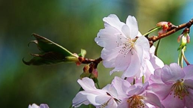 Equinozio di primavera 2015