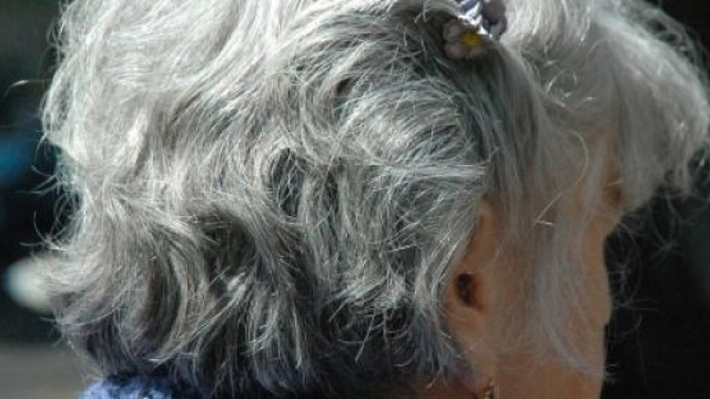 Pensioni anticipate il punto sui sindacati al 10/3