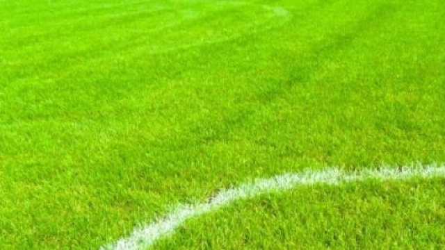 Fantacalcio:elenco squalificati nel prossimo turno