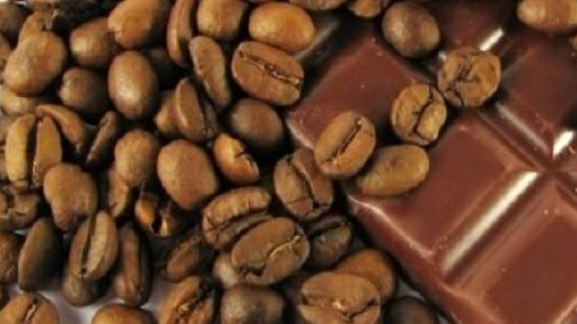 Onu,cioccolato e caff&egrave; contro la droga
