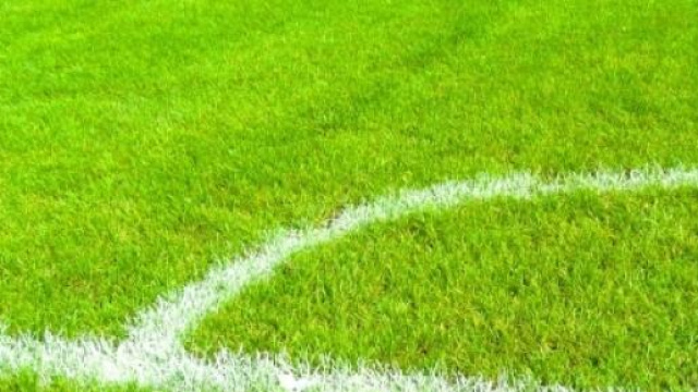 Zenit-Torino: possibili formazioni e pronostico