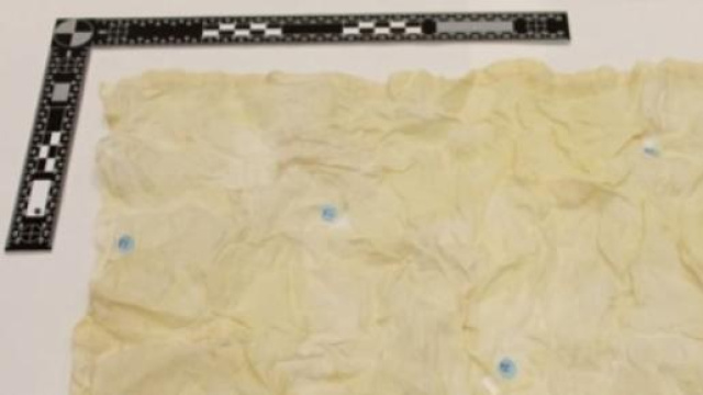 Dna D'Annunzio fazzoletto con liquido seminale