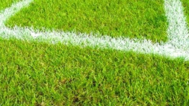 Pronostici Serie B 31&deg;giornata di sabato 14 marzo