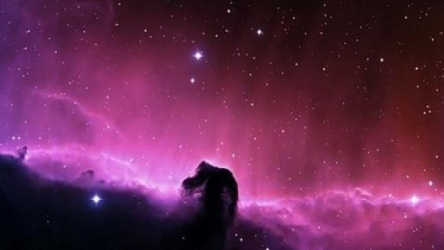 Oroscopo del giorno: le previsioni di marted&igrave; 