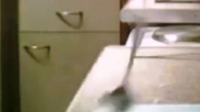 donna perseguitata dal fantasma del fratello