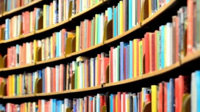 Les Fran&ccedil;ais et la lecture: une histoire d'amour