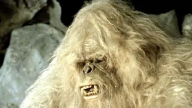 Yeti oppure un tipo di orso?