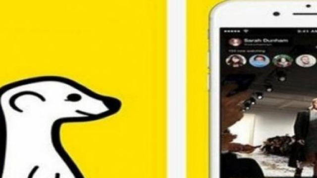 Meerkat, l&rsquo;app del live streaming immediato