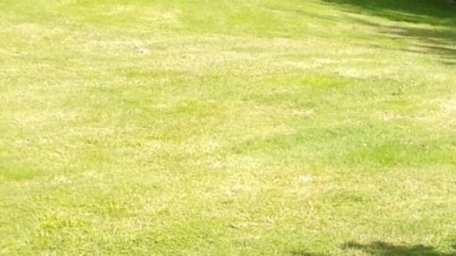 Calendario A.S. Roma, le prossime partite