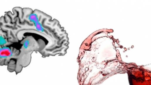 Frost et al., Plos ONE 2015