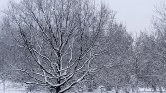 Previsioni meteo Pasqua 2015: nevo e gelo?