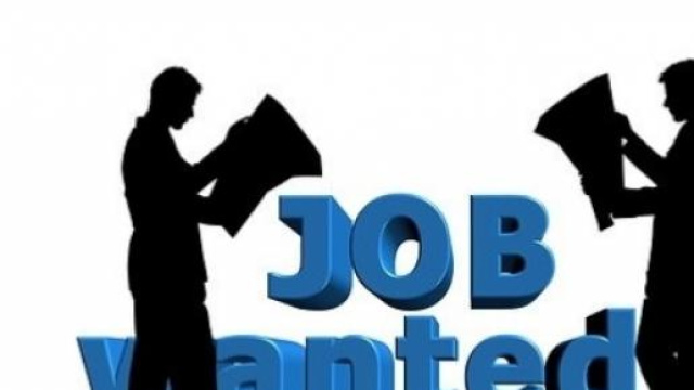 Assunzioni Agenzia delle entrate 2015, le info