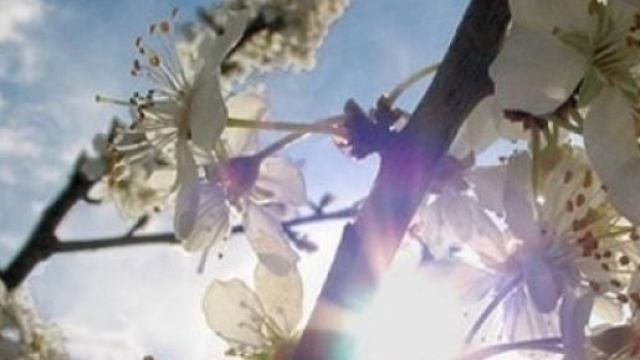 Che tempo fa a Pasqua e Pasquetta 2015?