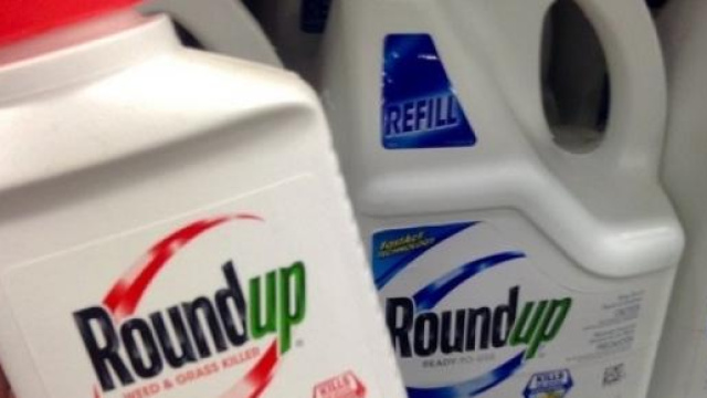 Il diserbante Roundup della Monsanto.