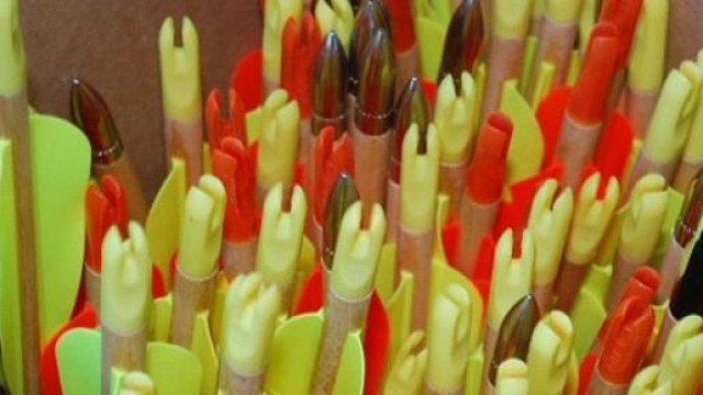 Dolly ha scoccato 72 frecce per arrivare a 388 pt