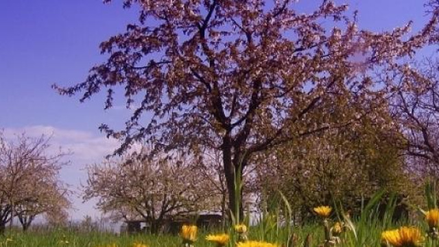 Pasqua, Pasquetta e ora legale: le date