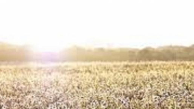 Previsioni meteo per il weekend.