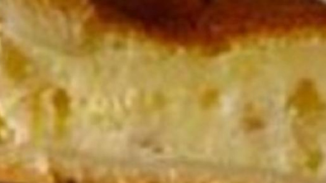 Ricetta dolci di Pasqua, la pastiera.