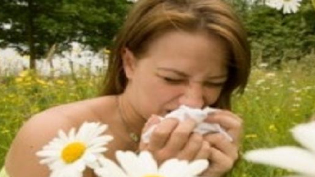 In aumento le allergie primaverili.