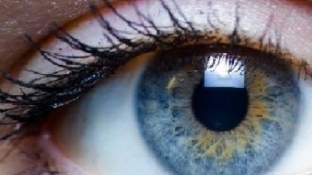 Cornea 2015: cellule staminali