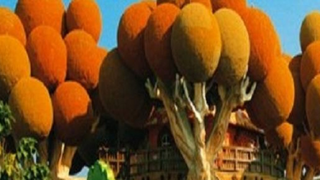 Alcuni viaggi low cost per la famiglia.