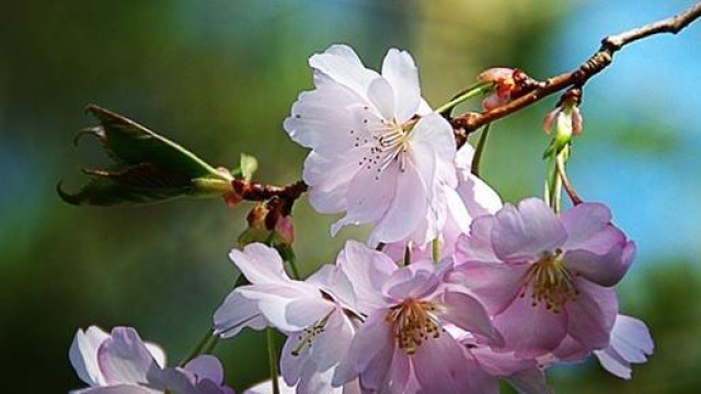 Meteo Pasqua e Pasquetta 2015