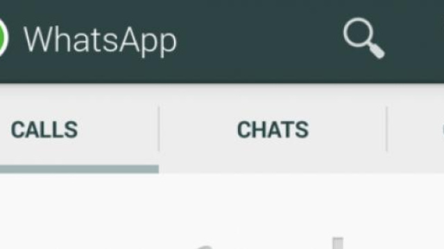 come si presenta whastapp con le chiamate vocali 