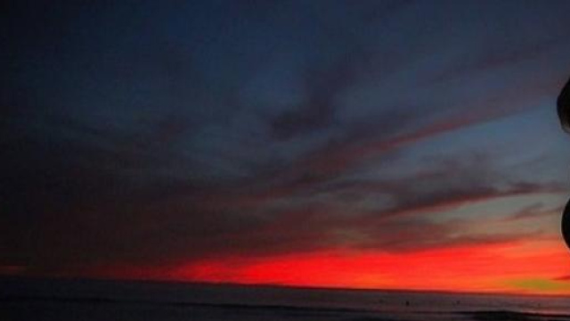  Festa della donna: frasi e cartoline 