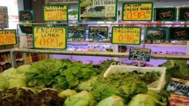 Supermercato In&rsquo;s di Jesolo (VE) cerca direttore