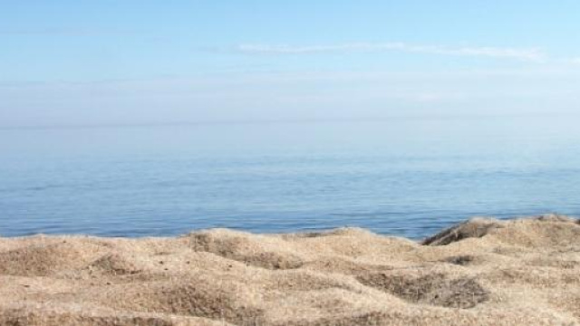 Vacanze estate 2015: mete mare low cost