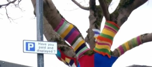 Mossley, where even the trees are single-minded