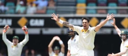 Starc celebrates a wicket