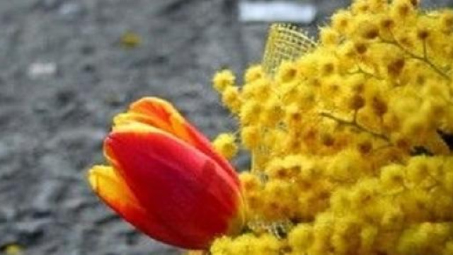 Festa della donna 2015 eventi Napoli, Roma, Milano